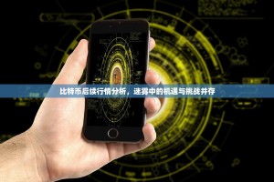 比特币后续行情分析，迷雾中的机遇与挑战并存