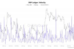 XRP链上交易速度创年度新高，网络活动激增
