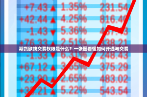 期货欧线交易权限是什么？一张图看懂如何开通与交易