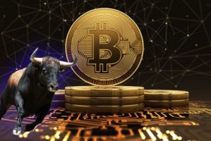 鲸鱼投资者大举转移所持代币至币安，损失总额达400万美元