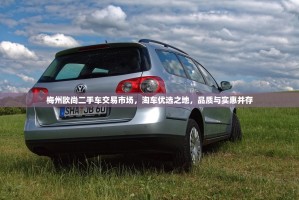 梅州欧尚二手车交易市场，淘车优选之地，品质与实惠并存