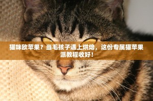 当抹茶的绿意遇上ZT的浪潮，一场味蕾与数字的奇妙碰撞