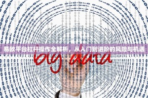 易欧平台杠杆操作全解析，从入门到进阶的风险与机遇