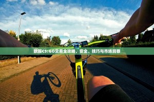 欧服CS:GO交易全攻略，安全、技巧与市场洞察