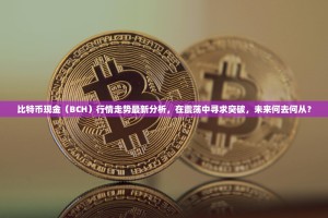 比特币现金（BCH）行情走势最新分析，在震荡中寻求突破，未来何去何从？