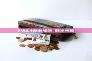 欧气加成，小狐狸钱包充值指南，解锁你的幸运密码