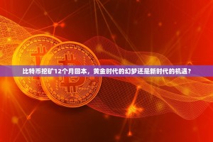 比特币挖矿12个月回本，黄金时代的幻梦还是新时代的机遇？