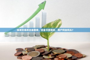 抹茶交易所出金困境，资金卡壳背后，用户何去何从？