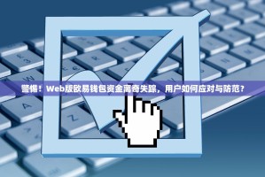 警惕！Web版欧易钱包资金离奇失踪，用户如何应对与防范？