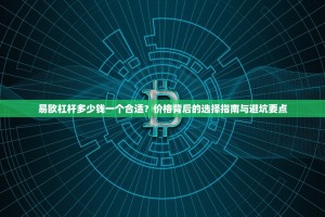 易欧杠杆多少钱一个合适？价格背后的选择指南与避坑要点