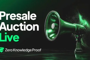 Avalanche 让早期买家赚得盆满钵满。现在，零知识证明技术开启了 250 倍投资回报率的大门，同时还带来了公平的准入机会！