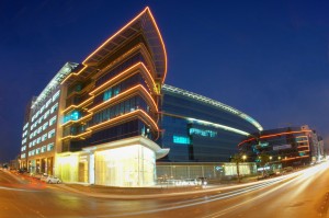 抹茶交易所猪币价格风云，波动背后的机遇与风险