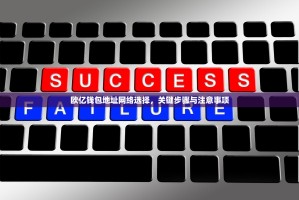 欧亿钱包地址网络选择，关键步骤与注意事项