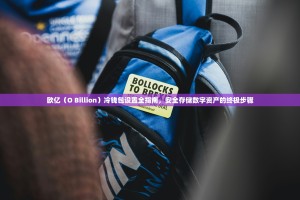 欧亿（O Billion）冷钱包设置全指南，安全存储数字资产的终极步骤