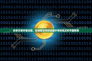 抹茶交易所面试题，在加密世界的浪潮中寻找真正的币圈精英