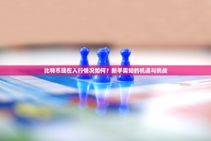 比特币现在入行情况如何？新手需知的机遇与挑战