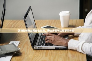欧钱包转账给网站全指南，安全步骤与注意事项详解