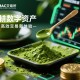 抹茶MAC交易所，深耕数字资产，打造高效交易新体验