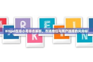 Bitget在非小号排名解析，市场地位与用户选择的风向标