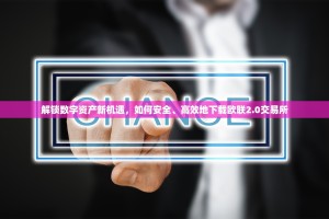 解锁数字资产新机遇，如何安全、高效地下载欧联2.0交易所