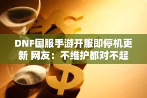 DNF国服手游开服即停机更新 网友：不维护都对不起这热度
