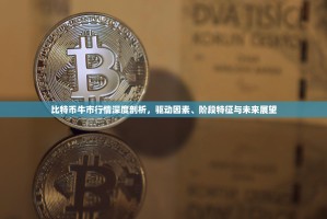 比特币牛市行情深度剖析，驱动因素、阶段特征与未来展望