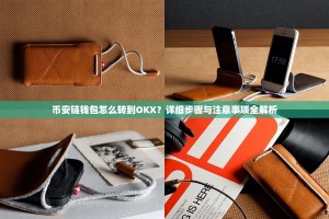 币安链钱包怎么转到OKX？详细步骤与注意事项全解析