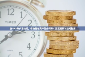 当OKX账户冻结后，你的钱包资产何去何从？深度解析与应对指南