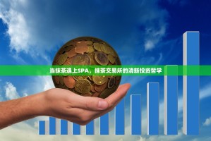 当抹茶遇上SPA，抹茶交易所的清新投资哲学