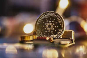 Cardano新闻：Input Output进军新的技术领域