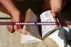 抹茶交易所退出全指南，从原因分析到实操步骤