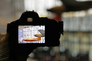 以太坊系列币种，不止ETH，探索以太坊生态的多姿多彩