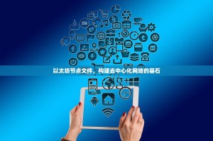 以太坊节点文件，构建去中心化网络的基石