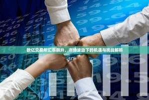 欧亿交易所汇率飙升，市场波动下的机遇与挑战解析