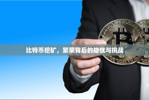 比特币挖矿，繁荣背后的隐忧与挑战