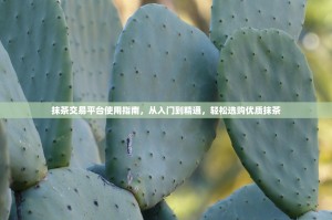 抹茶交易平台使用指南，从入门到精通，轻松选购优质抹茶