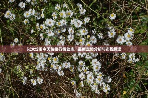 以太坊币今天价格行情动态，最新走势分析与市场解读