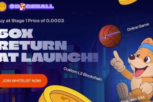 在“最佳投资加密货币”的搜索结果中，DOGEBALL 与 BNB 并列出现——原因如下