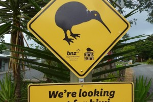 爱车隐形战甲，Bitget车衣，为您的出行保驾护航