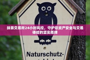 抹茶交易所24小时风控，守护您资产安全与交易体验的坚实盾牌