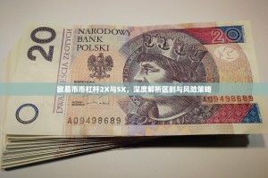 欧易币币杠杆2X与5X，深度解析区别与风险策略