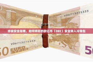 终极安全指南，如何将您的欧亿币（OEC）安全转入冷钱包