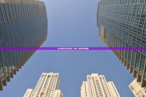 以太坊第三方交易平台，机遇、风险与未来展望