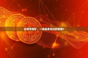 比特币挖矿，一场血本无归的豪赌？