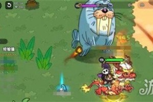 英勇之地海象怎么打 海象打法攻略