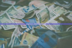 欧易交易所BRWL币，新兴数字资产的投资机遇与价值解析