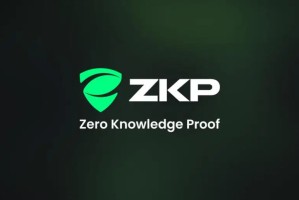 早期采用者曾将 100 美元变成数百万美元——零知识证明 (ZKP) 能否在 2026 年重现历史？