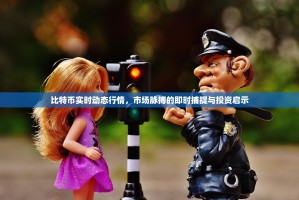 比特币实时动态行情，市场脉搏的即时捕捉与投资启示