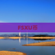 FSXU币