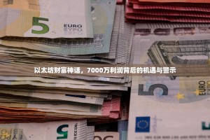 以太坊财富神话，7000万利润背后的机遇与警示